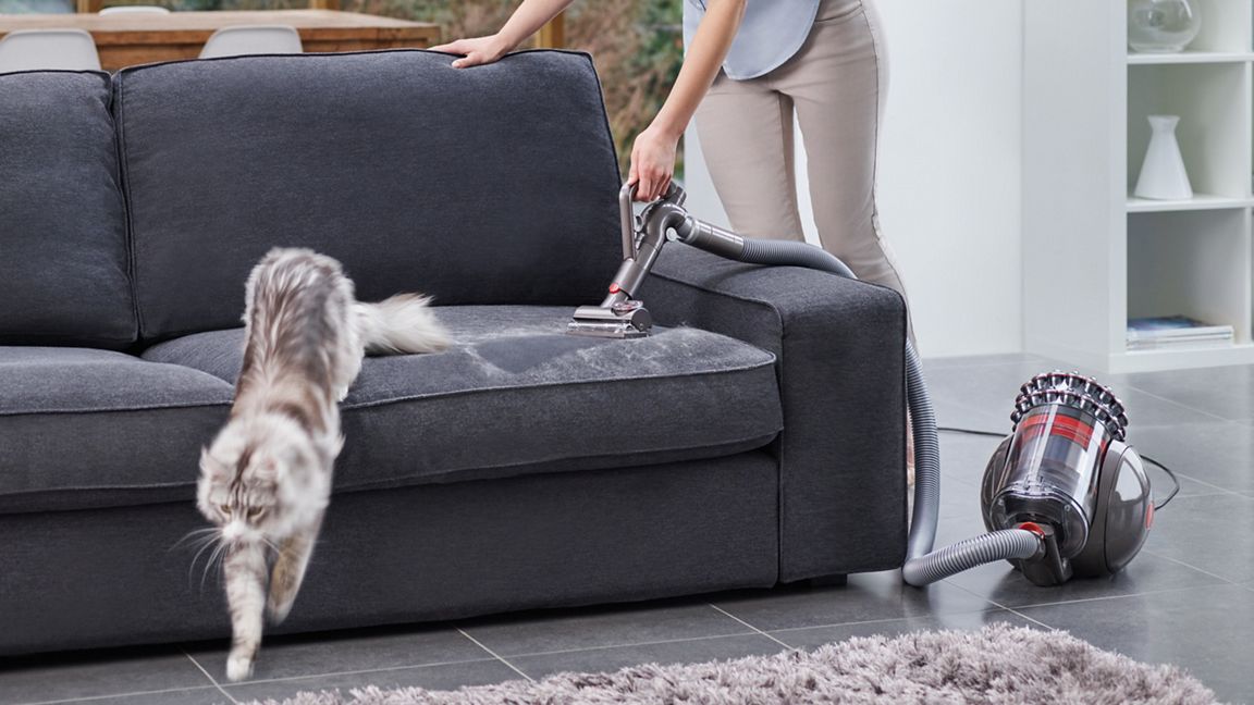 Aspirateur traineau Cinetic Big Ball Absolute 2
